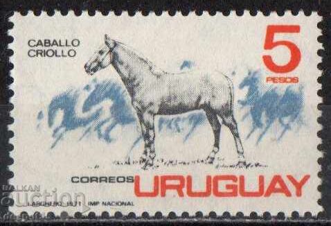 1971. Уругвай. Уругвайско коневъдство.