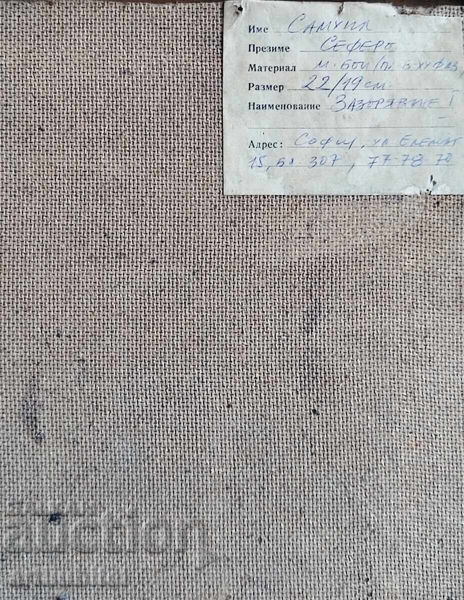 Licitație Suli Seferov - lucrare timpurie, 34 x 37 cm