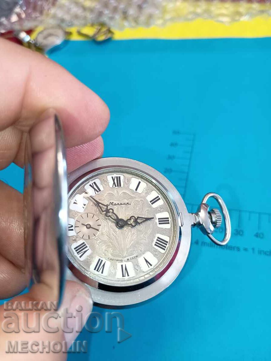 ΜΟΛΝΙΑ 3602 SU Perestroĭkata - 6