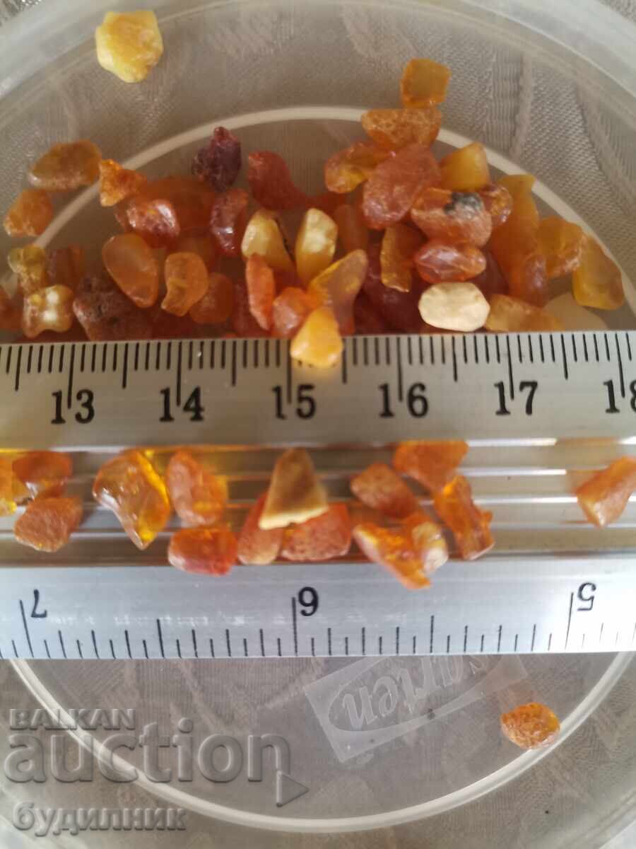Delivery of 50 Grams Natural Baltic Amber