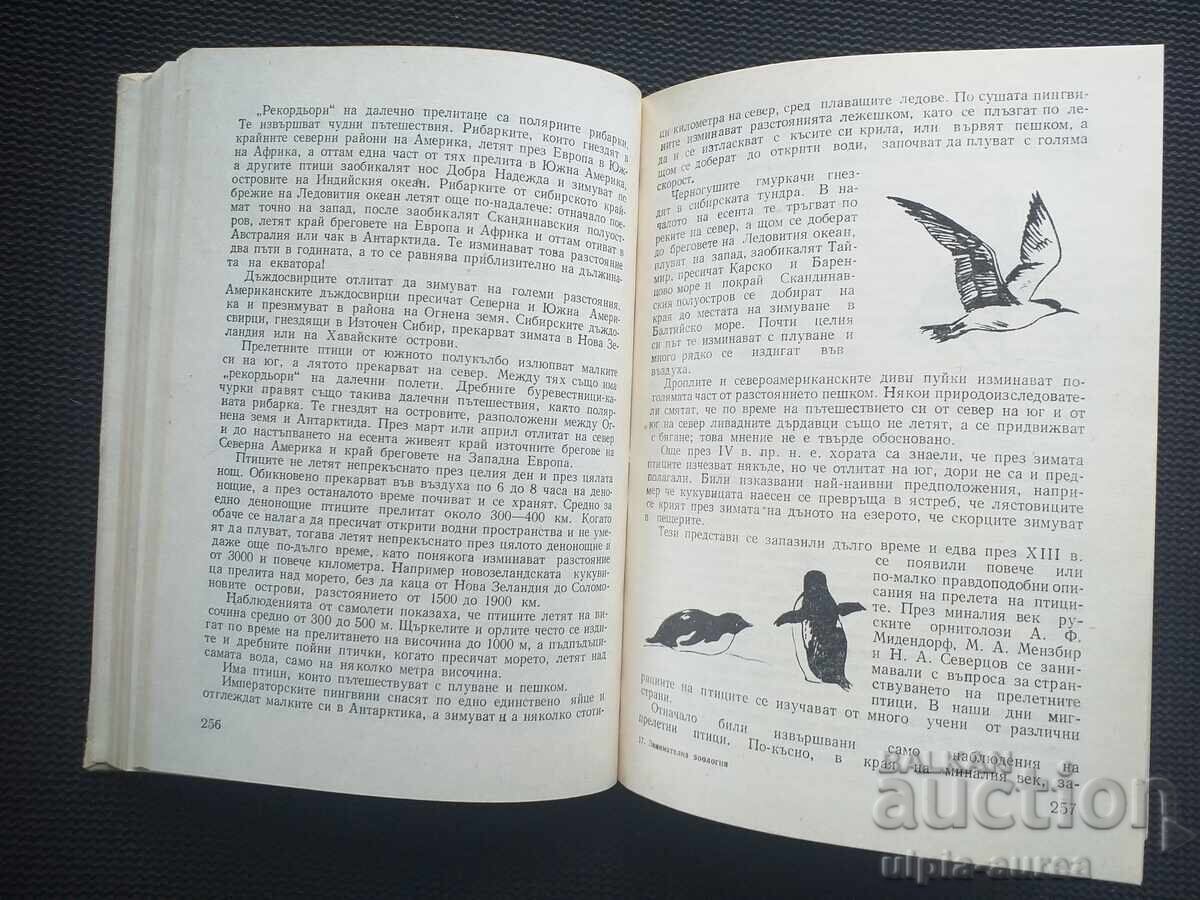 .Занимателна зоология с цена € 1.50 | 2.93 лв. .Занимателна зоология с цена € 1.50 | 2.93 лв.