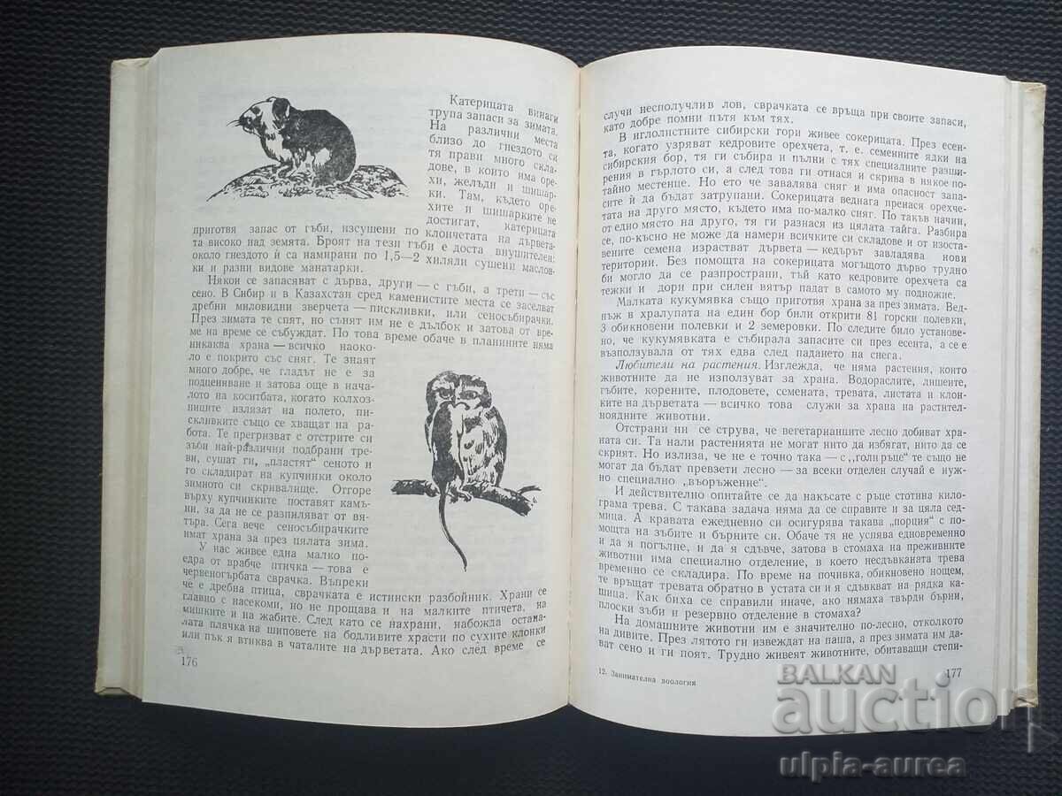 Аукцион .Занимателна зоология Аукцион .Занимателна зоология