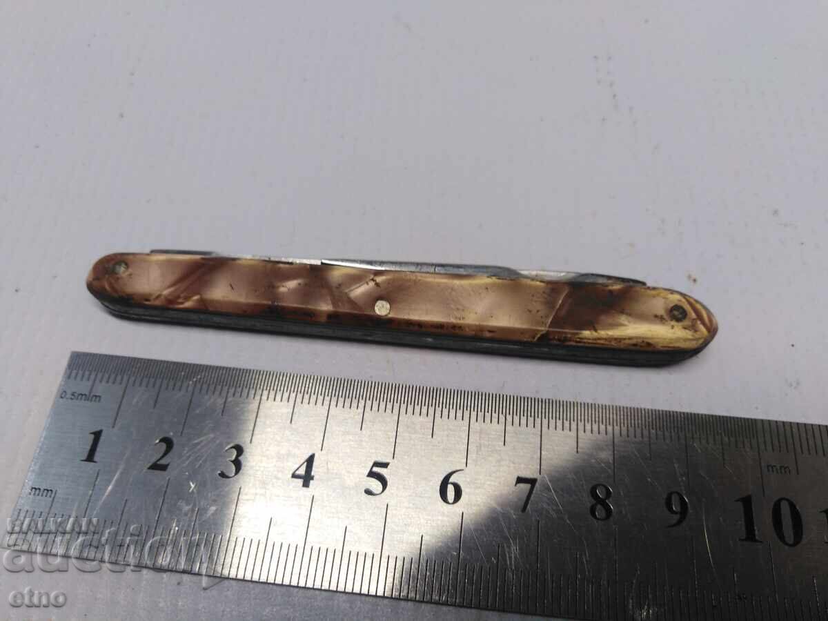 Livrarea CUIT DE BUZUUNAR BULGAR - VINERI DENEV