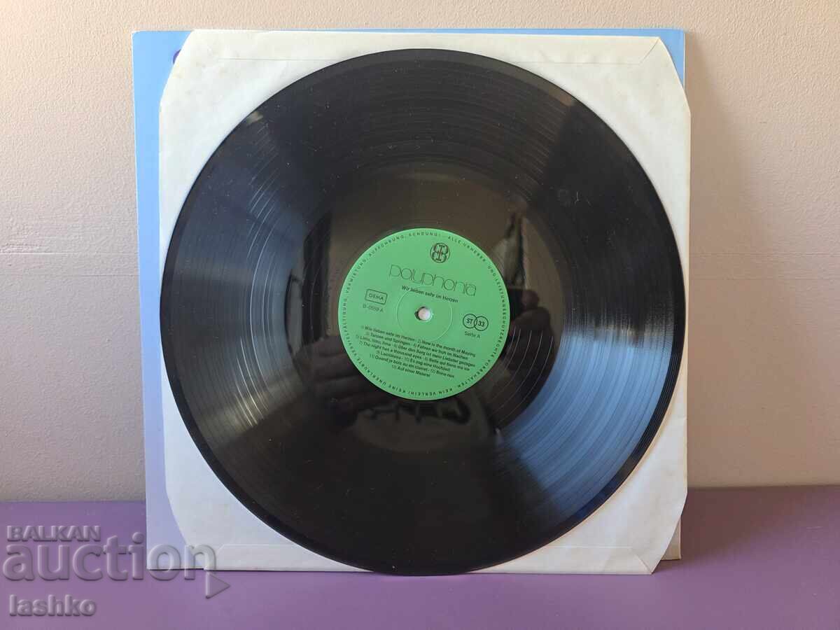 Δημοπρασία Δίσκος γραμμοφώνου