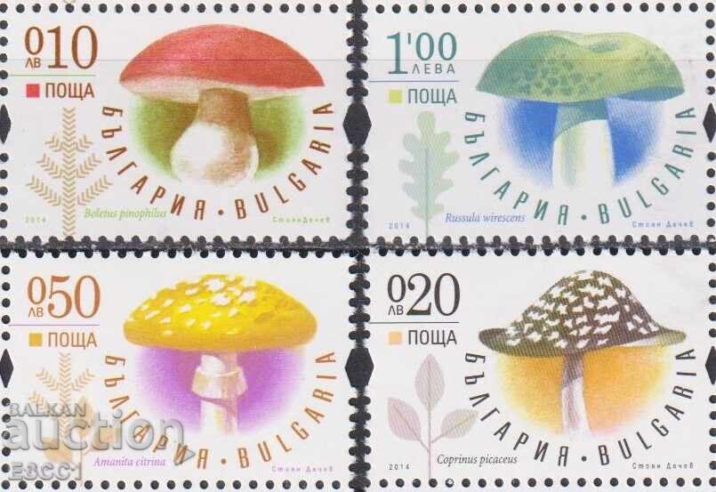 Чисти марки Флора Гъби 2014 от България