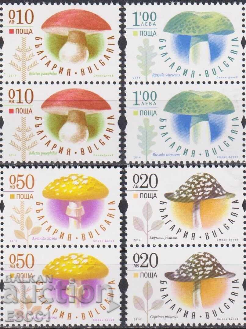 Καθαρές γραμματόσημες Φλόρα Μανιτάρια 2014 από Βουλγαρία Καθαρές γραμματόσημες Φλόρα Μανιτάρια 2014 από Βουλγαρία