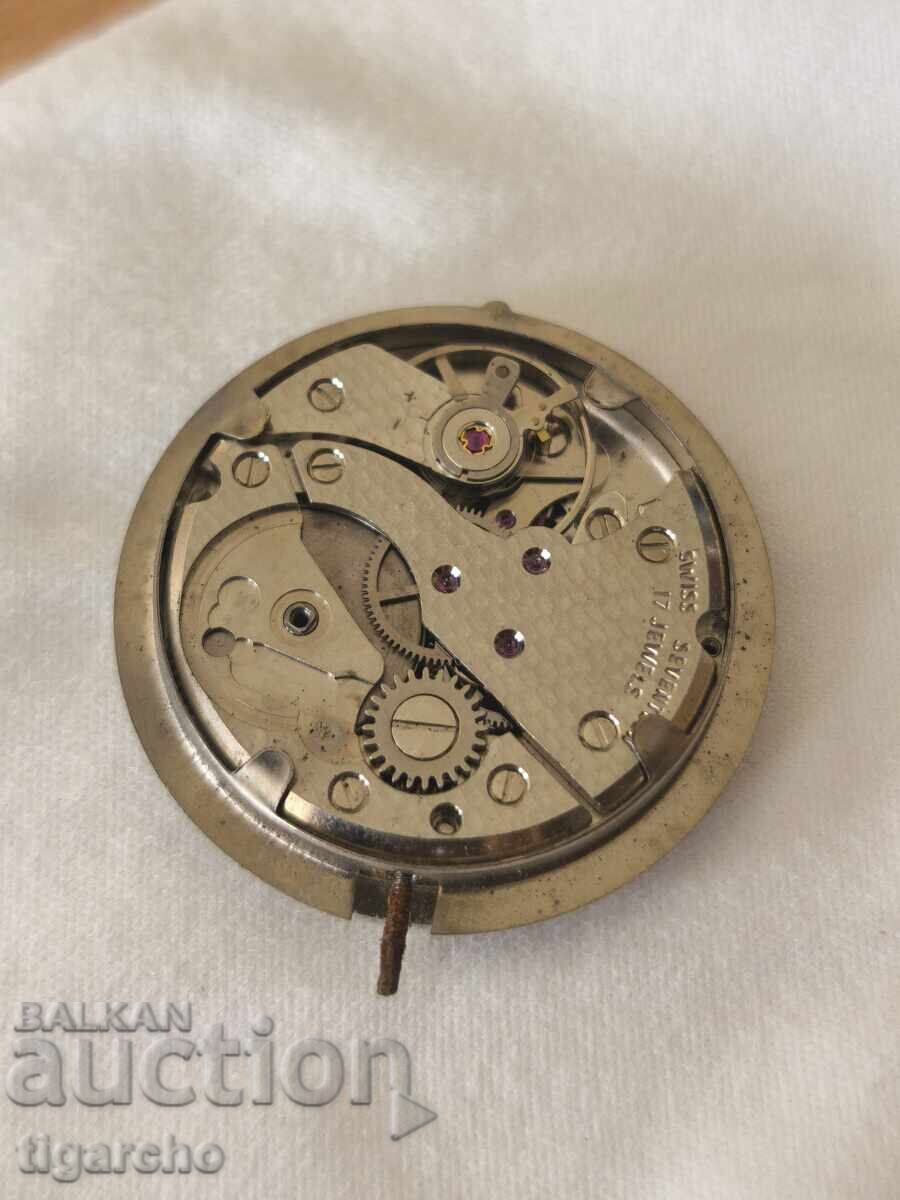 Delivery of Camy Watch Movement
