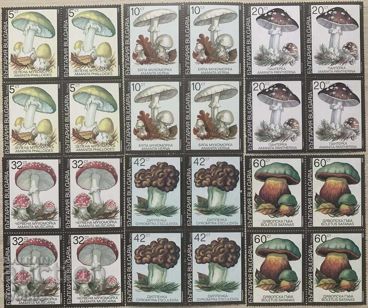 1991g - Ciuperci otrăvitoare 1991g - Ciuperci otrăvitoare