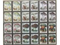 1991г-Отровни гъби