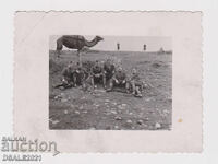 Bulgarian soldiers with a camel photo 8.5x6.3cm. /75190