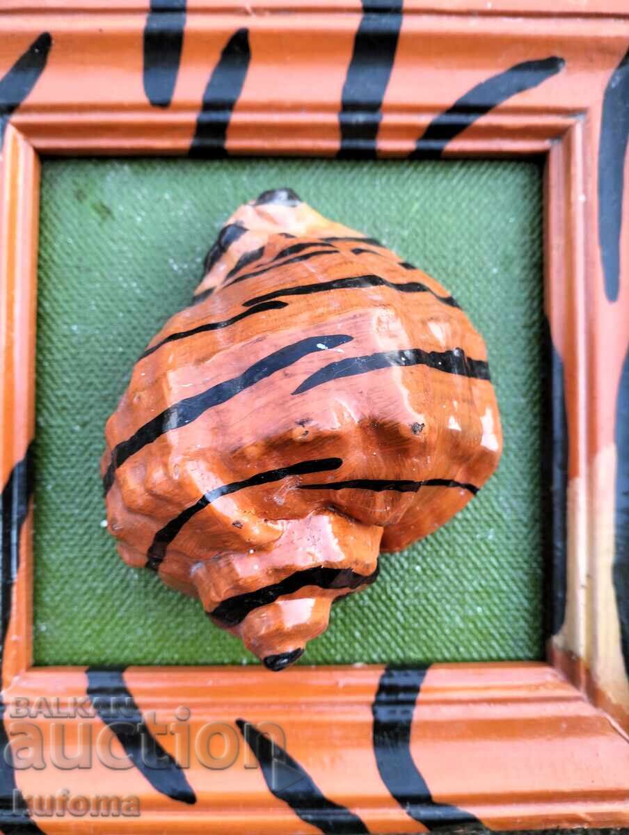 Доставка на Декоративна картина с рапан