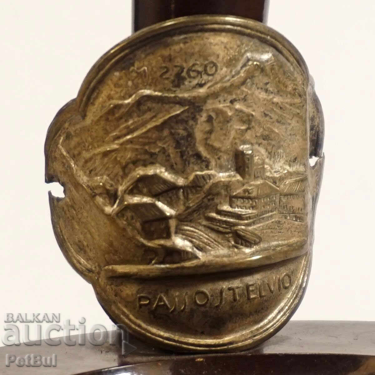 Old Badge for Tourist Walking Stick PASSO STELVIO 2260 m Old Badge for Tourist Walking Stick PASSO STELVIO 2260 m