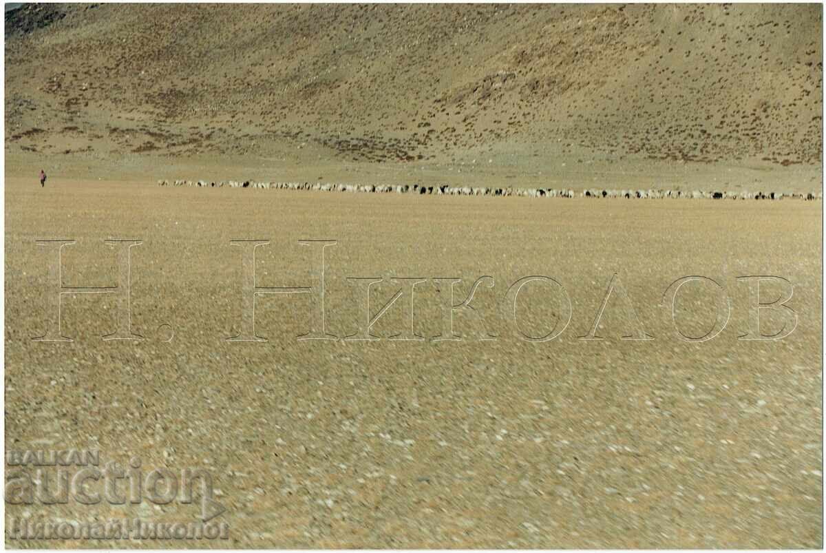 1995 FOTOGRAFIE ARTISTICĂ MARE INDIA TIBET KASHMIR LADAK E835