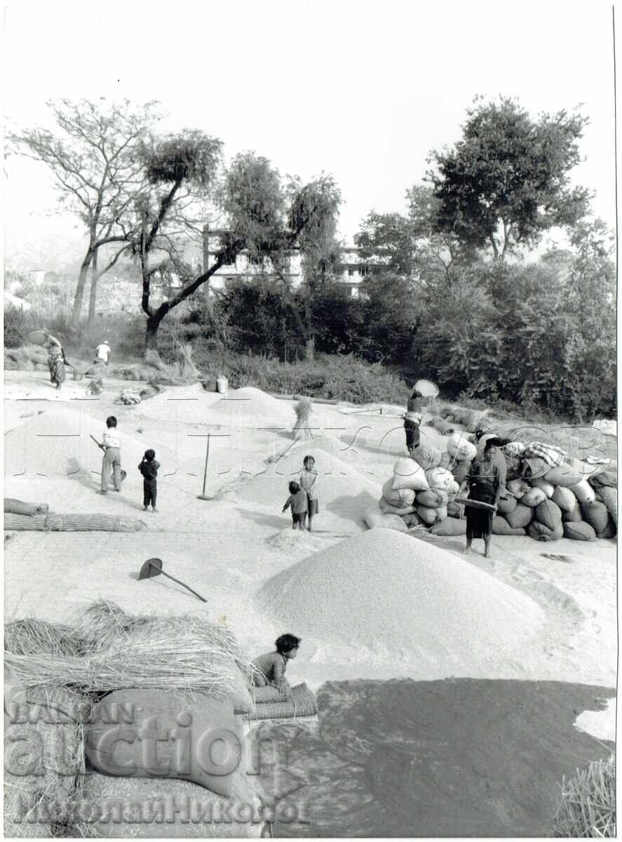 1984 LARGE ART PHOTOGRAPH NEPAL KATHMANDU E842