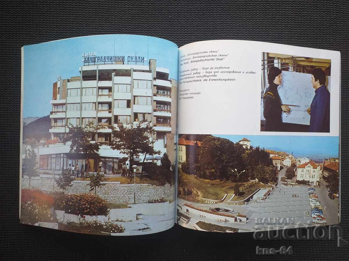 Licitație Broșură socială Belogradchik