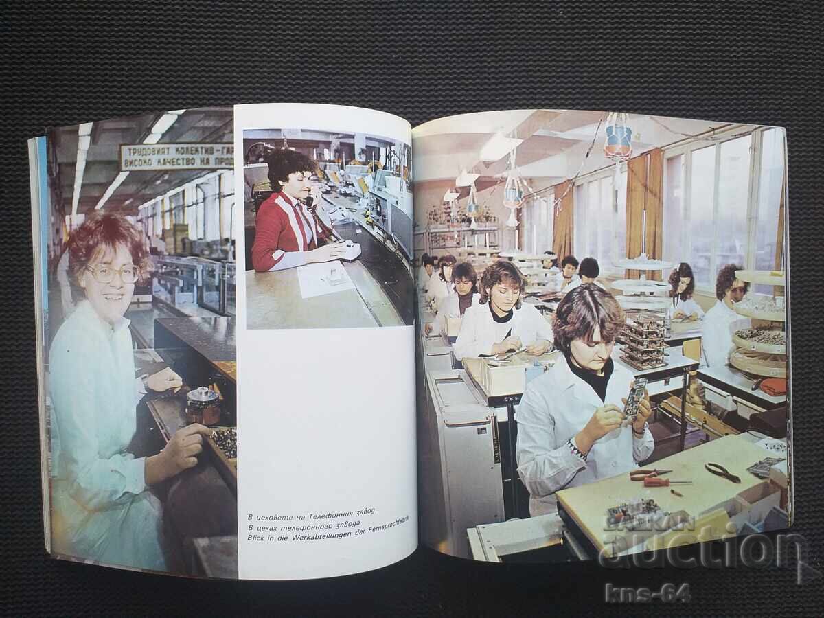 Livrarea Broșură socială Belogradchik