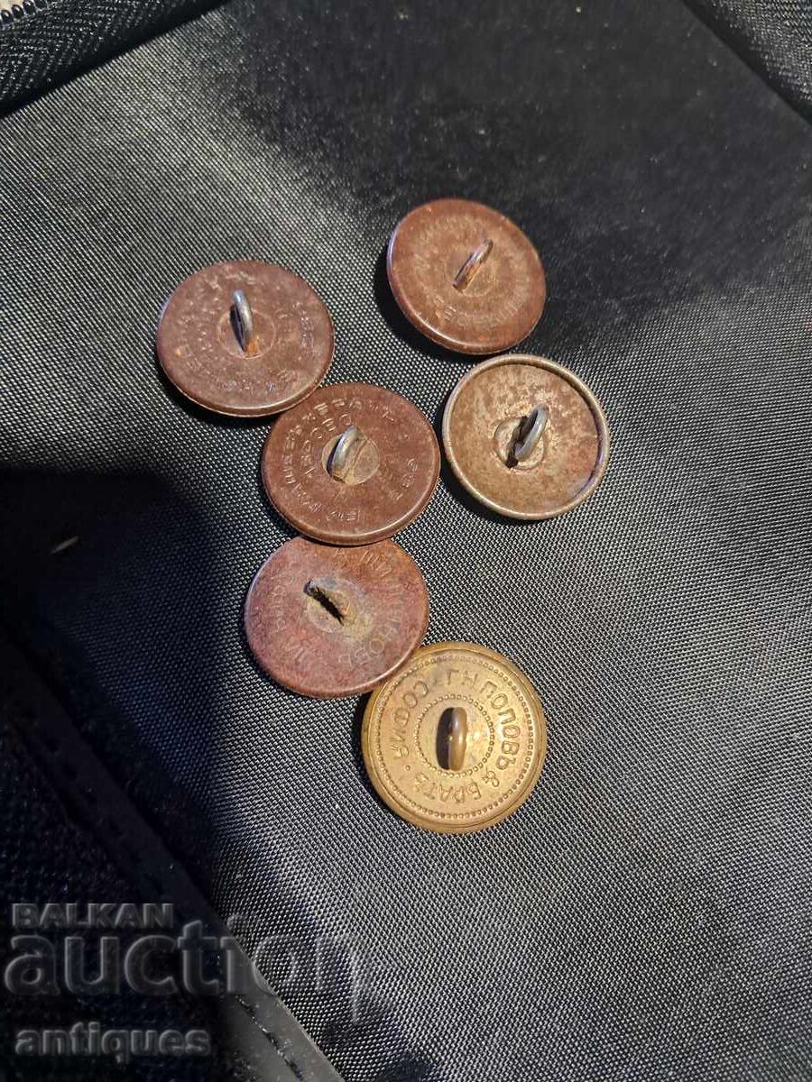 Nasturi militari regali - 5