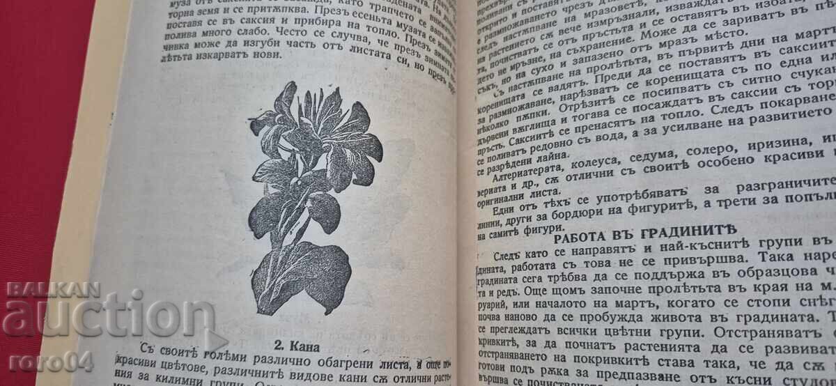 ΦΡΟΝΤΙΔΑ ΓΙΑ ΛΟΥΛΟΥΔΙΑ - ΙΛΙΑΣ ΚΑΖΑΝΤΖΙΕΦ - 5