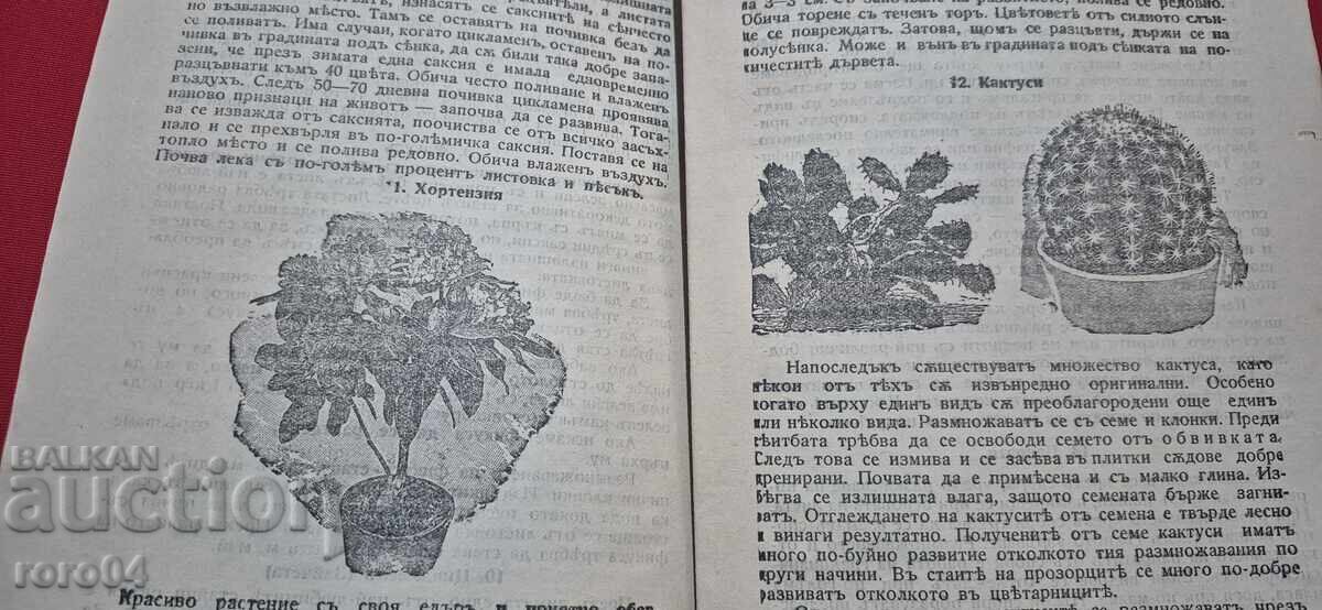 ΦΡΟΝΤΙΔΑ ΓΙΑ ΛΟΥΛΟΥΔΙΑ - ΙΛΙΑΣ ΚΑΖΑΝΤΖΙΕΦ - 6