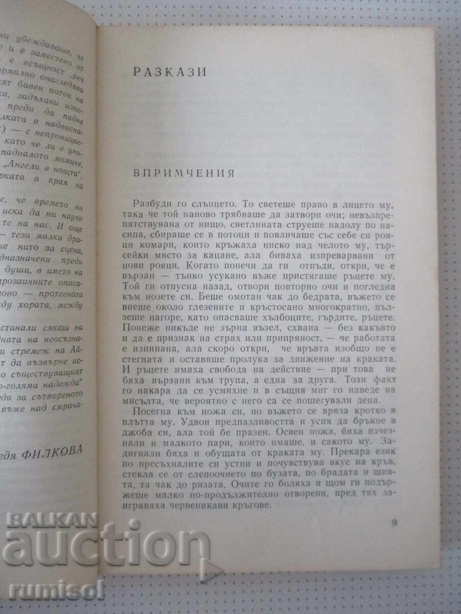 Licitație Oglinda istoriei - Ilse Aichinger
