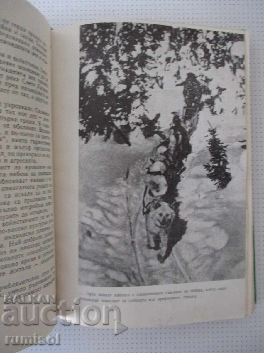 Delivery of Canada, Smelling of Resin - Arkady Fiedler