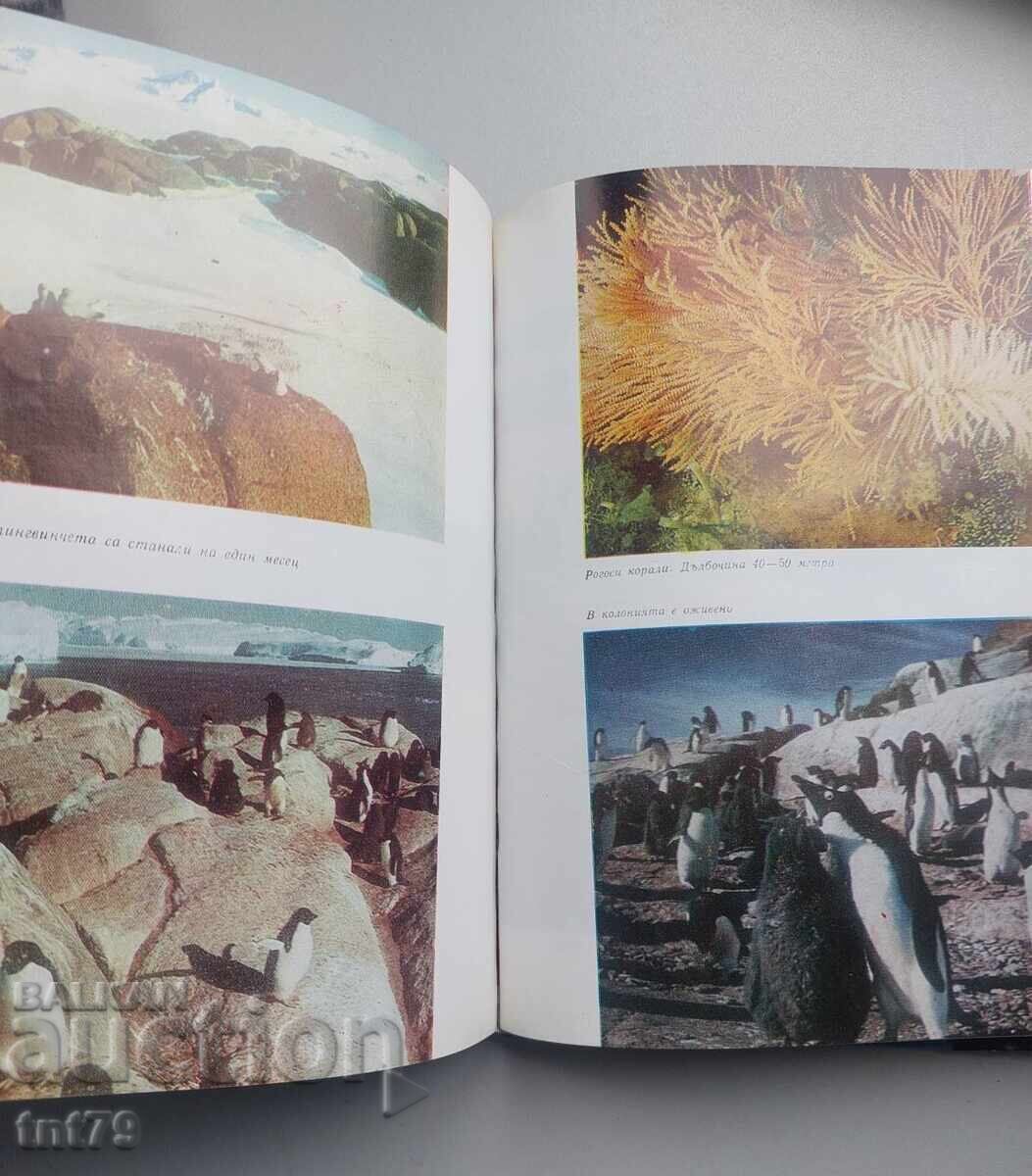 Παράδοση Βιβλίο "Μεταξύ πάγου και κοραλλιών". Σεργκέι Ριμπάκοφ – 1979