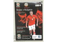 Program de fotbal Țara Galilor - Bulgaria 2010