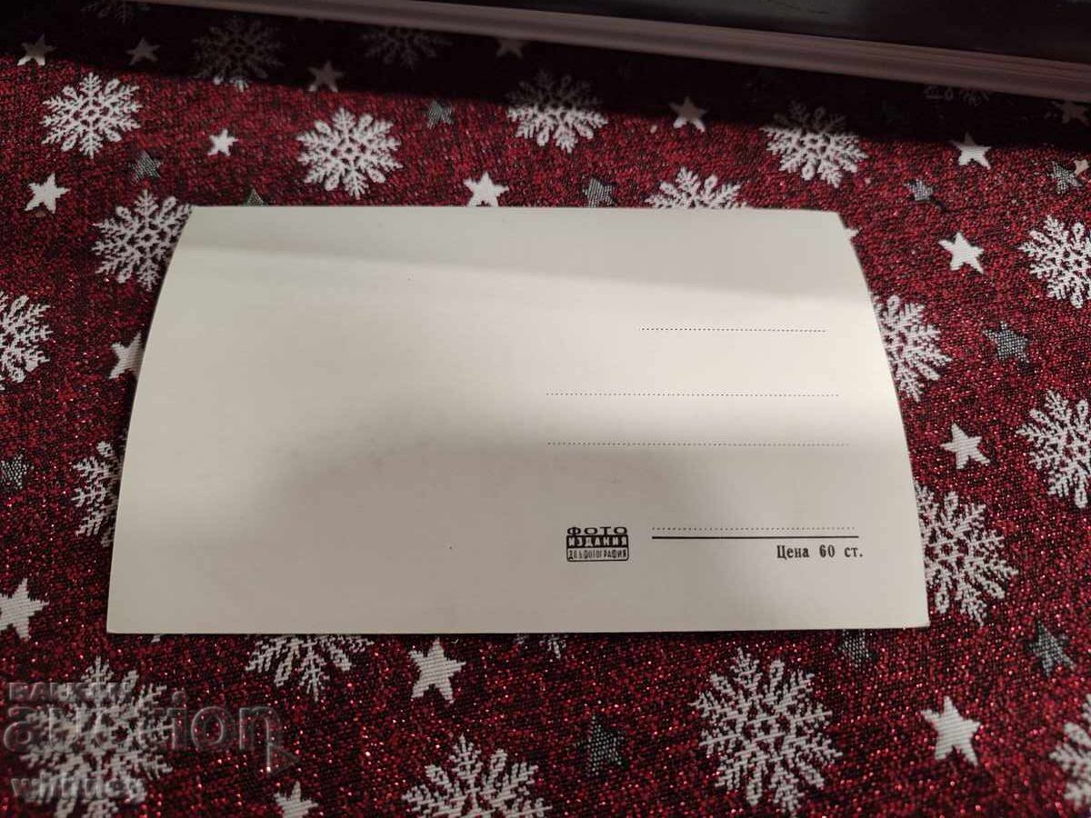 Μποροβέτς 2 με τιμή € 1.99 | 3.89 BGN