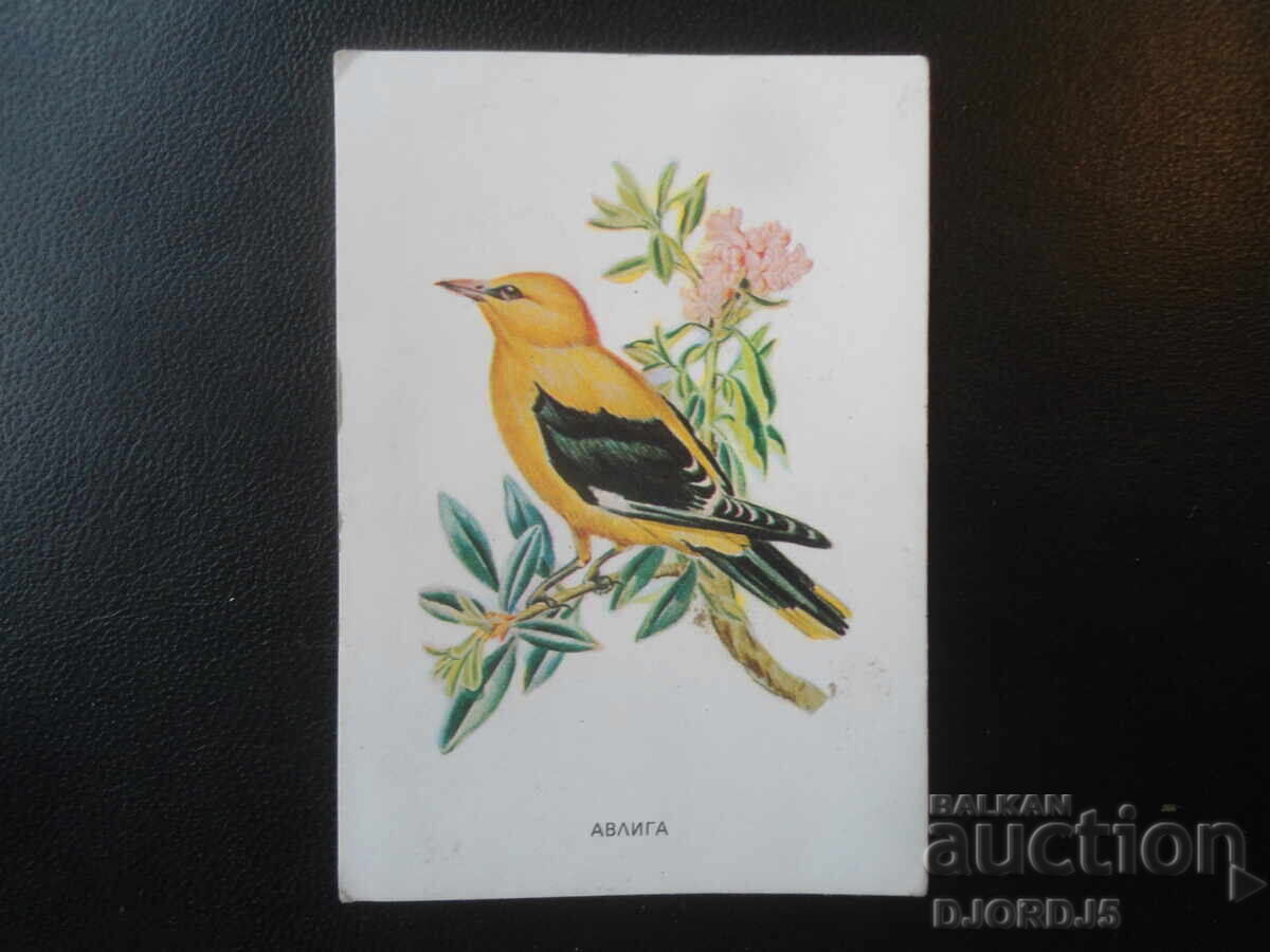 Παλιό βουλγαρικό ημερολόγιο, 1983