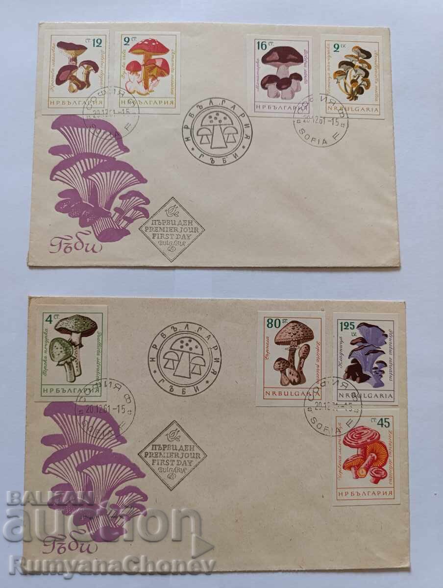 Plicuri poștale Ciuperci 1961