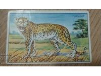 Стара картичка