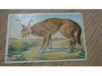 Стара картичка