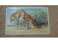 Стара картичка