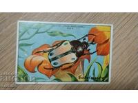 Стара картичка