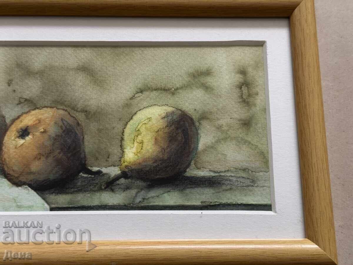 Livrarea Monica Gavrailova acuarel