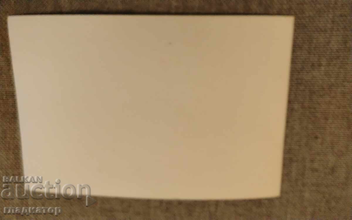 Аукцион Стара българска картичка фотография снимка котки котка 4