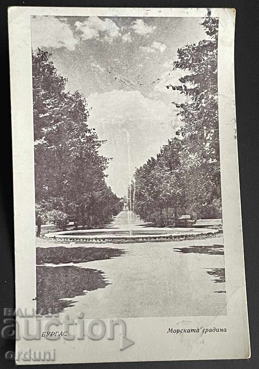 5435 Bŭlgariya cartolina Burgas grădina mării anii '50