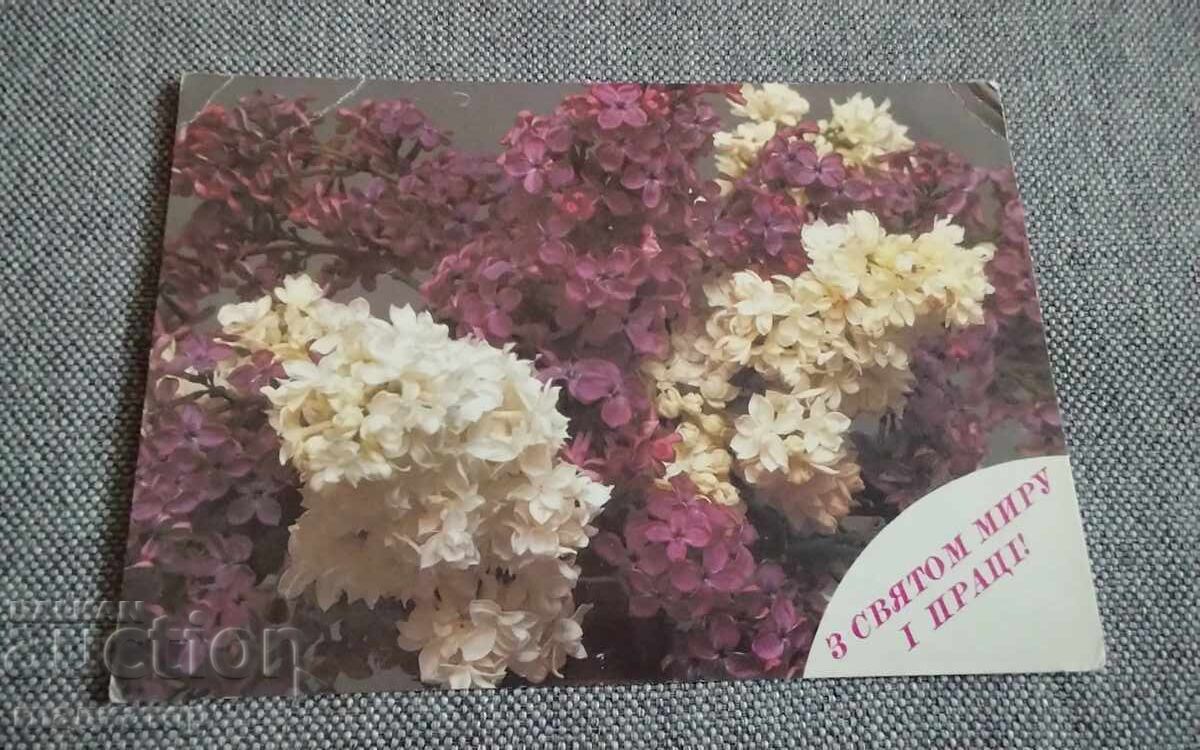 Carte poștală rusă veche 1 Mai Ziua Muncii URSS 3