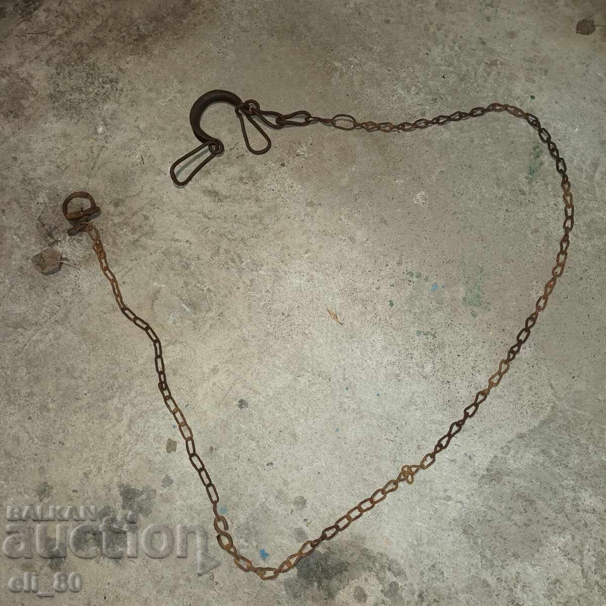 Auction  Buckle for a dog. With a chain