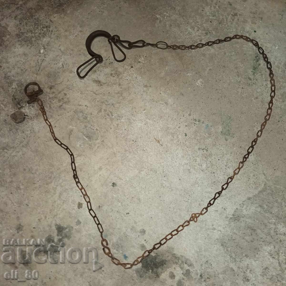 Buckle for a dog. With a chain