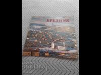 Βιβλίο Μπρέζνικ