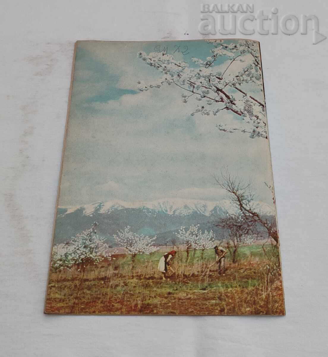 SP. ZHENATA AZI 3/1957 - 7