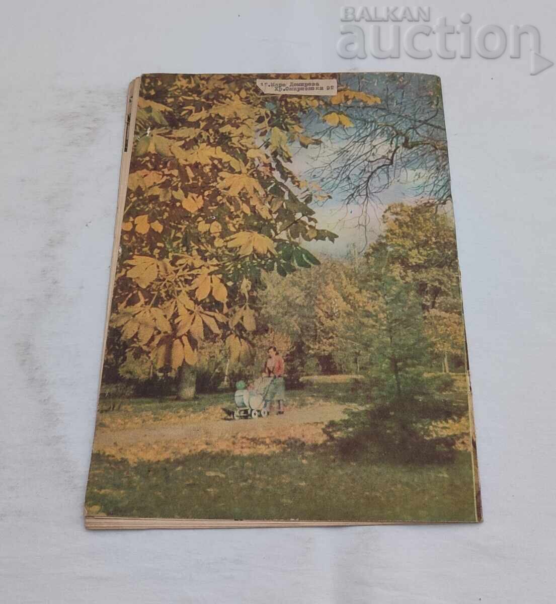 SP. FEMEIA AZI 10/1958 - 7