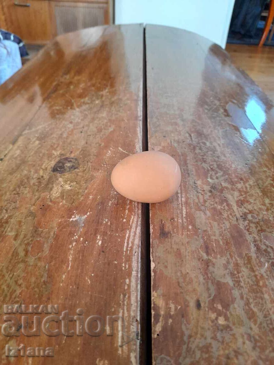 Old wooden egg