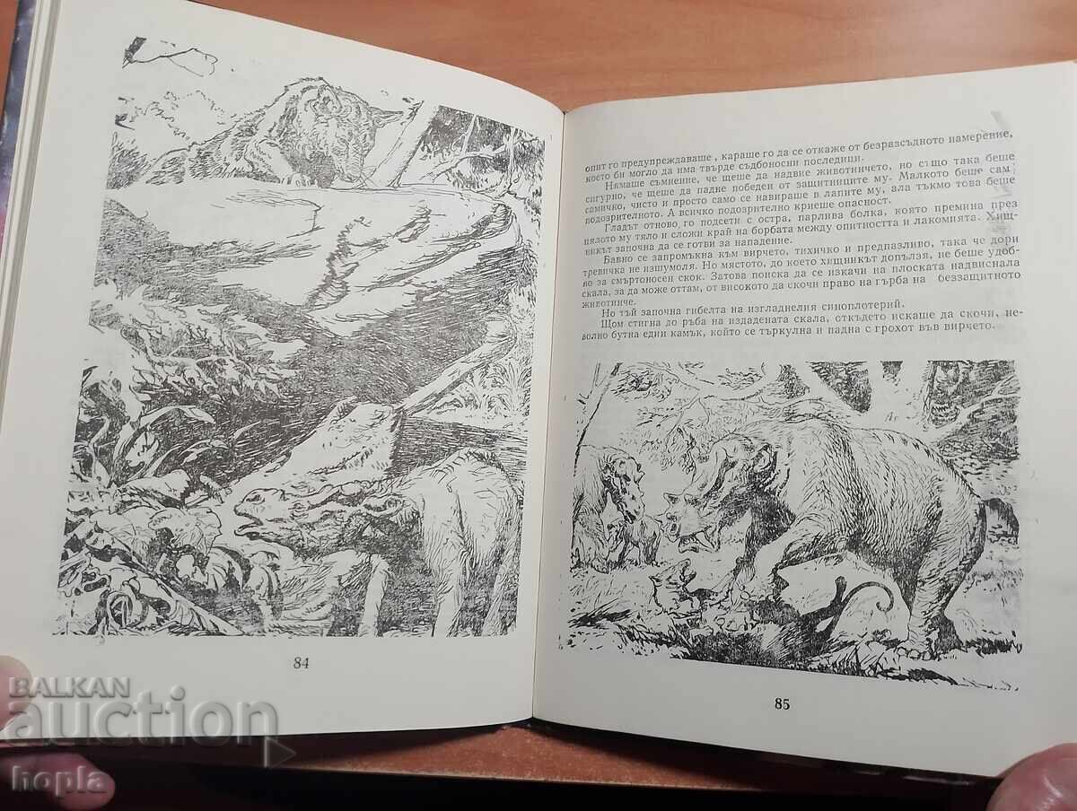 Аукцион Йозеф Аугуста ИЗЧЕЗНАЛИЯТ СВЯТ Аукцион Йозеф Аугуста ИЗЧЕЗНАЛИЯТ СВЯТ