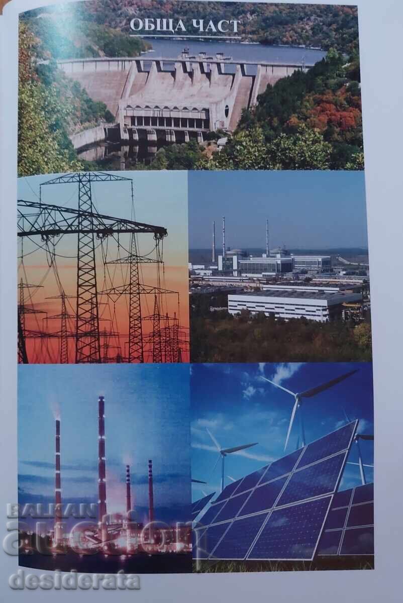 Auction  Bulgarian Electricity