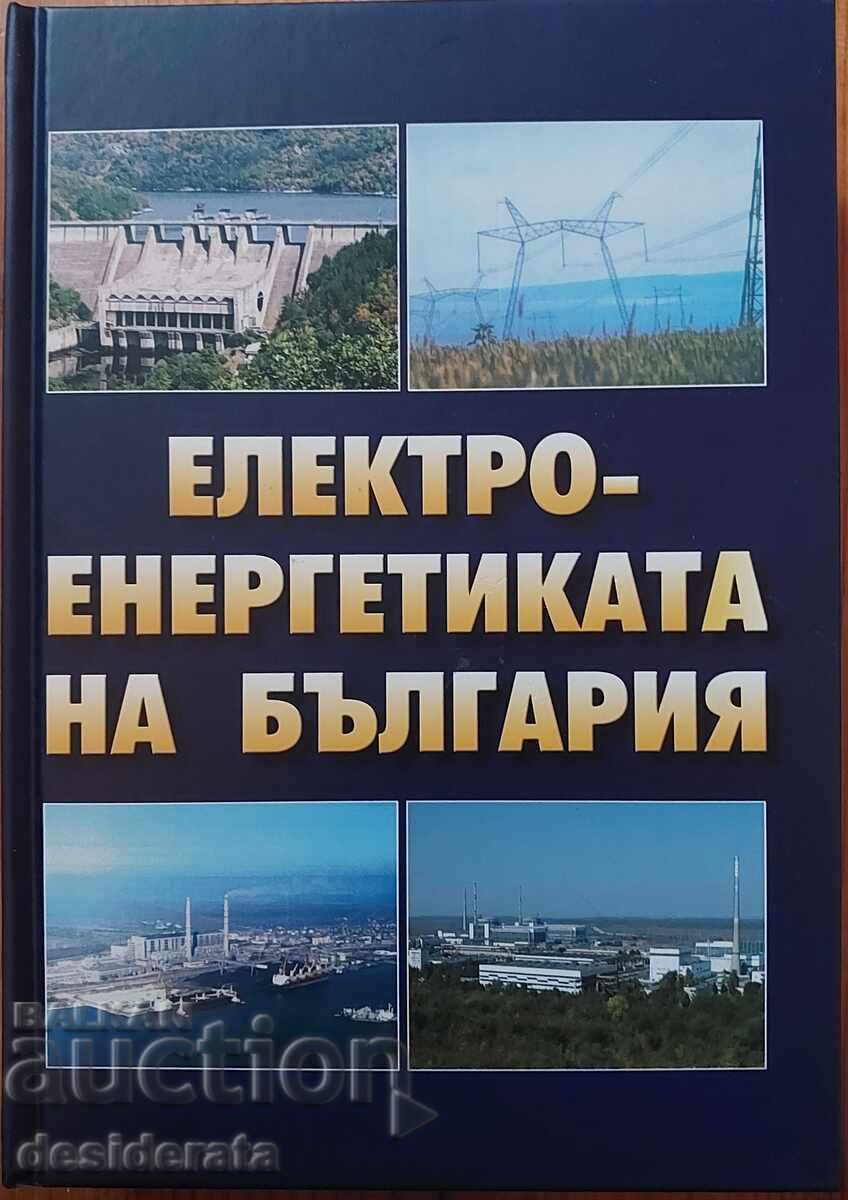 Bulgarian Electricity