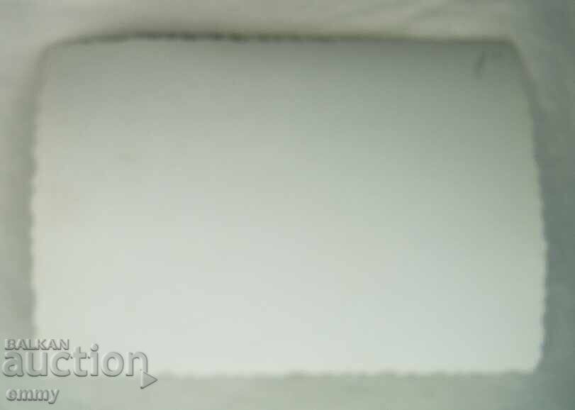 Licitație Mica fotografie veche - elevi pionieri depun jurământ, steag Licitație Mica fotografie veche - elevi pionieri depun jurământ, steag