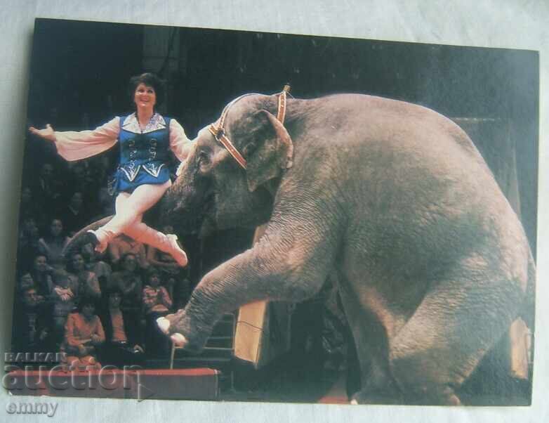 Доставка на "На арената на цирка" - 18 броя цветни картички , СССР, 1986 Доставка на "На арената на цирка" - 18 броя цветни картички , СССР, 1986