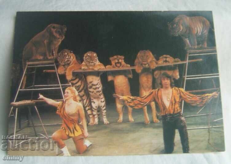 "На арената на цирка" - 18 броя цветни картички , СССР, 1986 - 6 "На арената на цирка" - 18 броя цветни картички , СССР, 1986 - 6